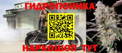 герыч Донецк