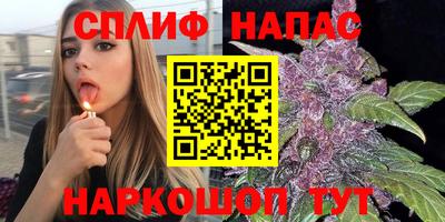 прущие грибы Донской