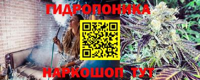 марки nbome Дубна